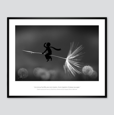 Le départ du Petit Prince