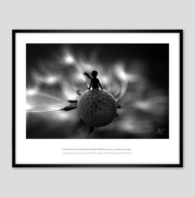 Les couchers de soleil