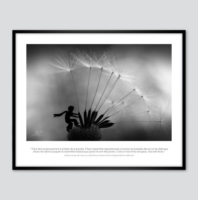 La planète du Petit Prince